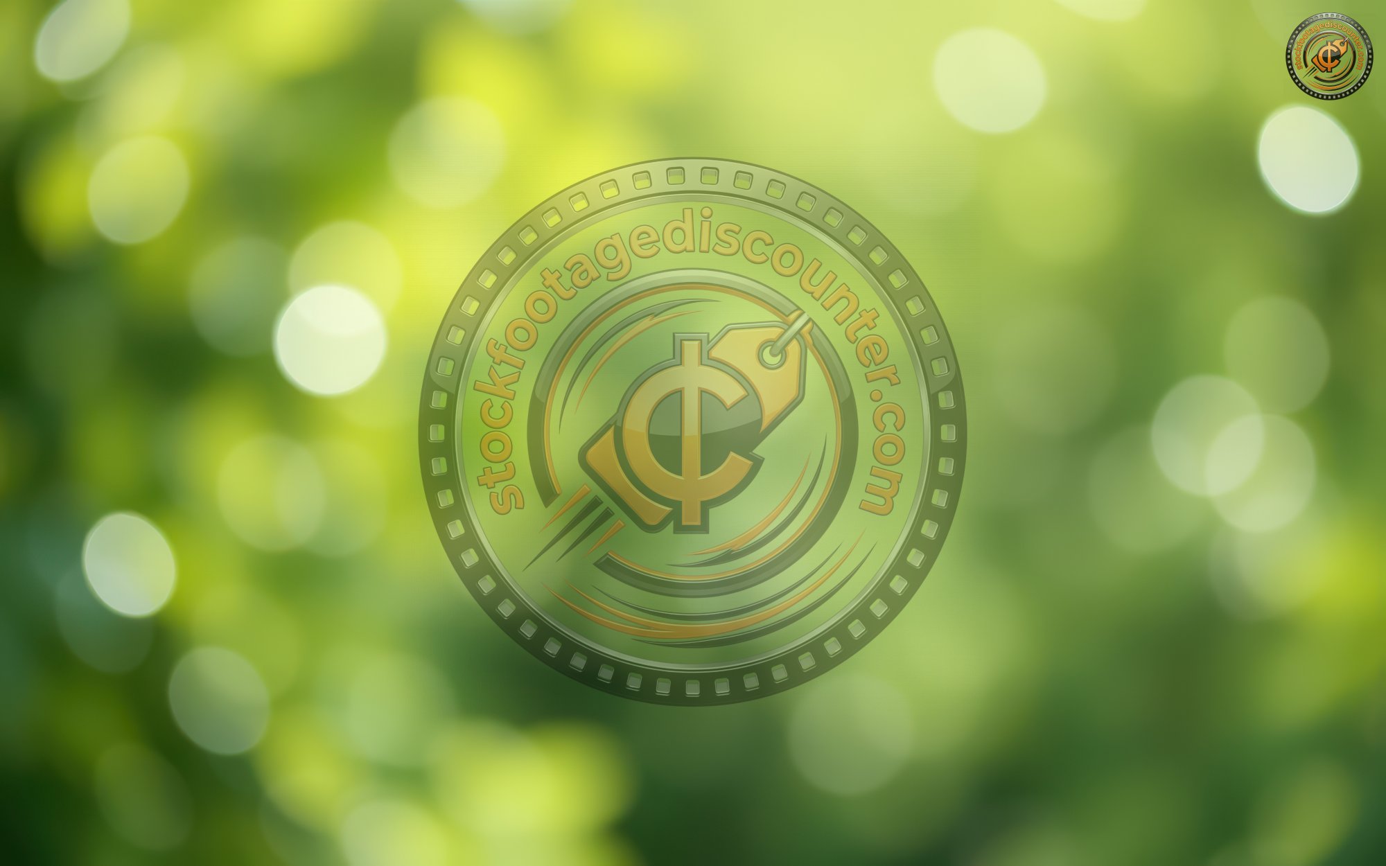 Soft green bokeh effect creates a dreamy atmosphere in a sunlit forest during early summer