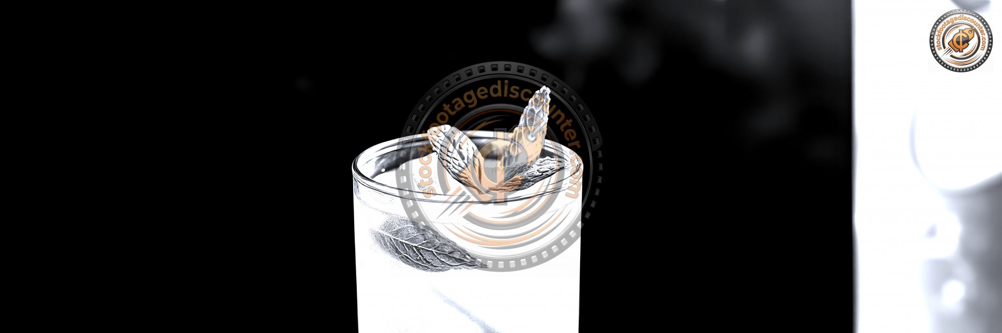 2756020076 Gigapixel Standard 6x Silver