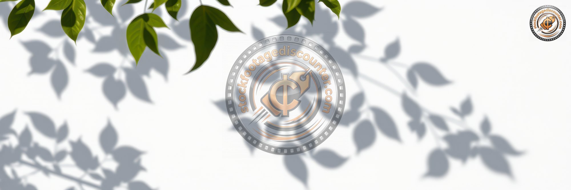 Green leaves cast delicate shadows on a white background