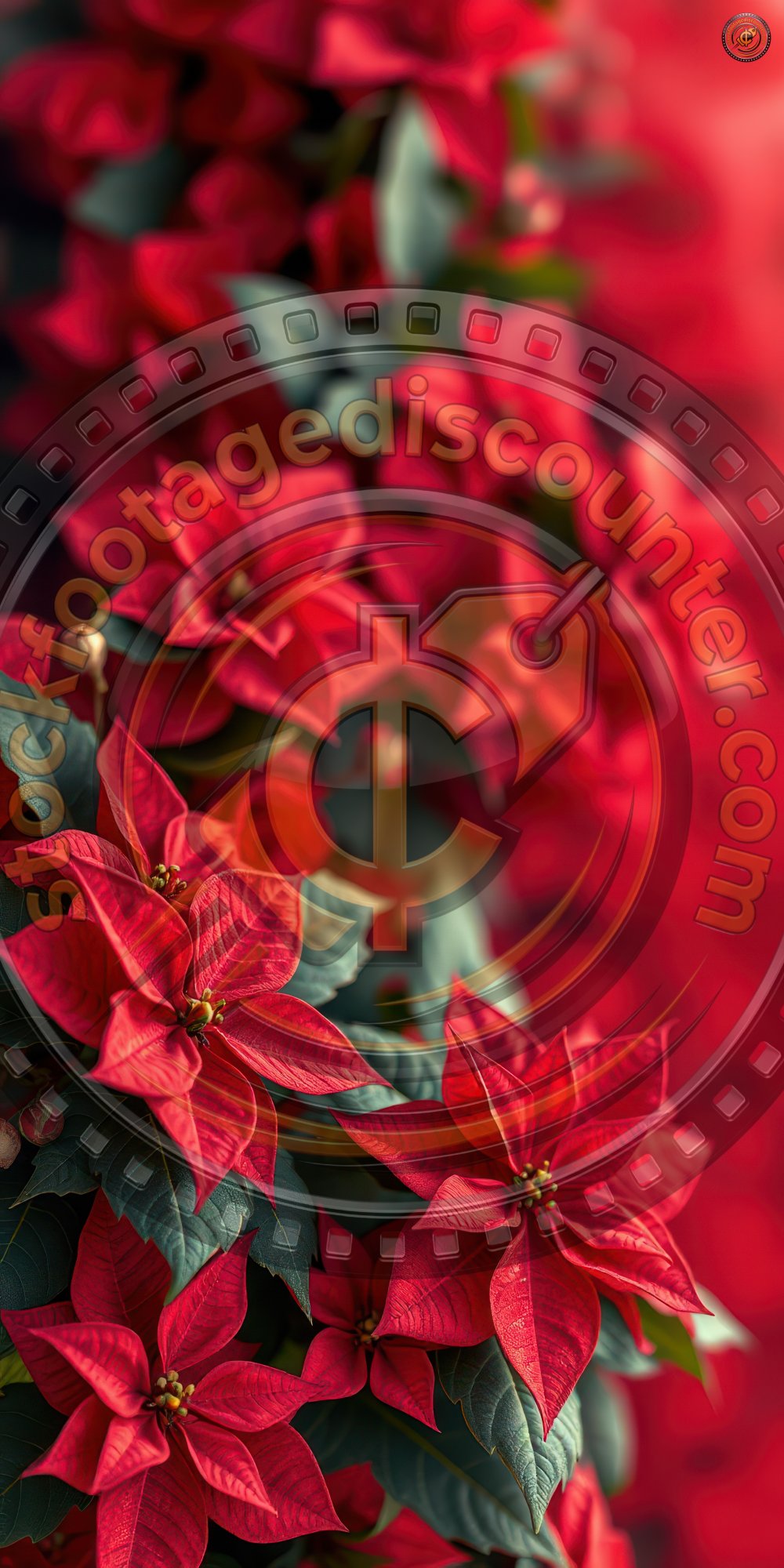 3239609521 Gigapixel Standard 6x