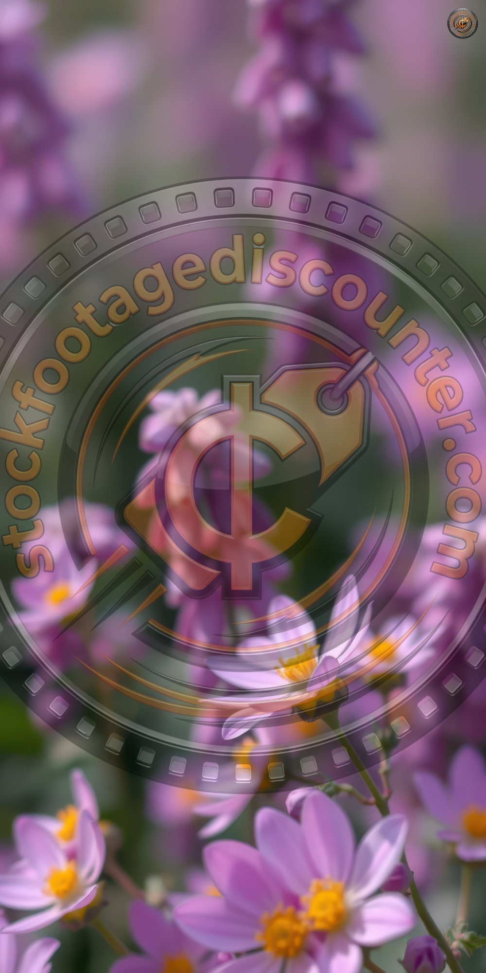 Garden in full bloom features vibrant purple and pink flowers enhancing the natural landscape during springtime