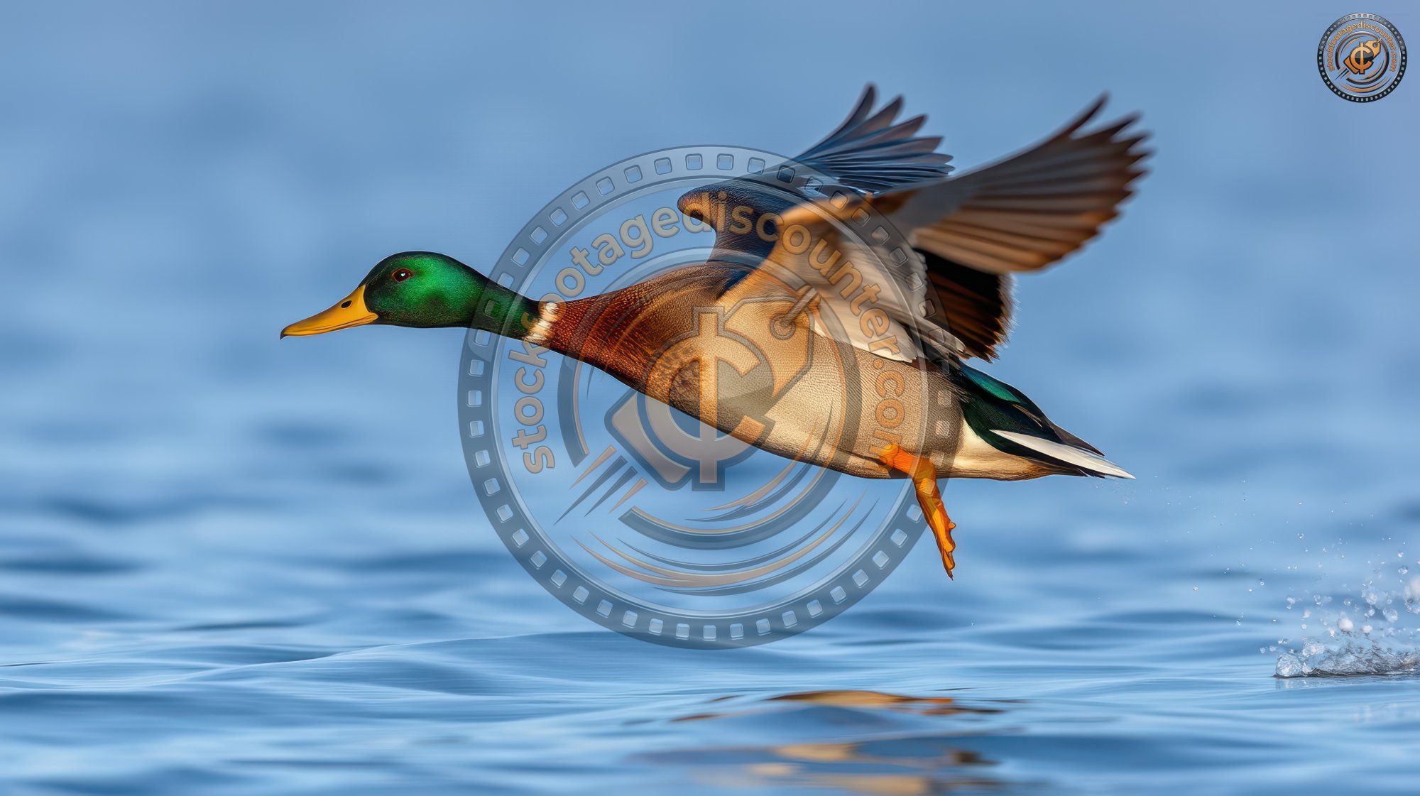 2889224232 Gigapixel Standard 6x