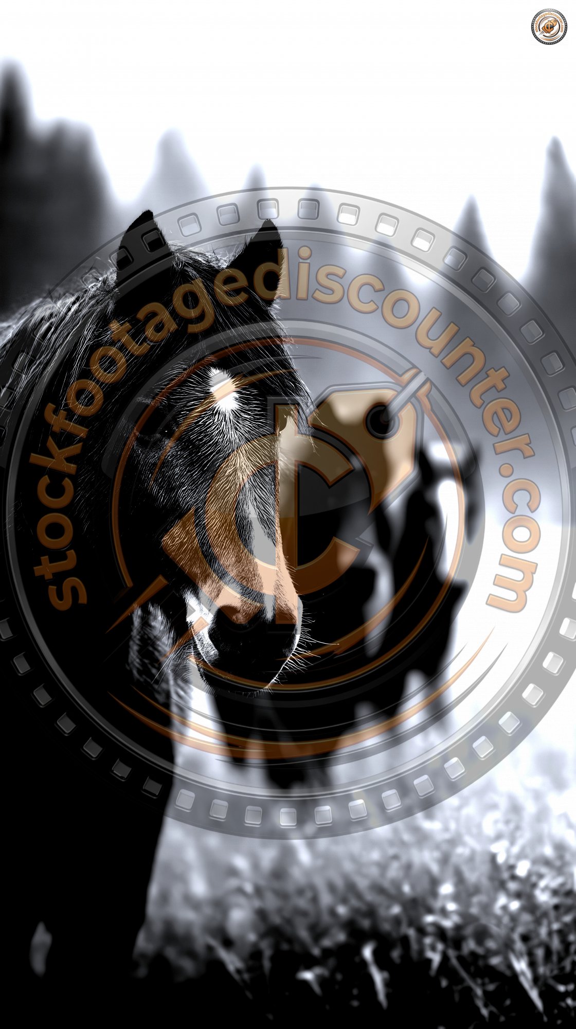 A Herd Of Wild Horses Runs Across A Field. Wild H 9791a00d 2cbb 44a2 8dac 2d069e28b2de 1 Gigapixel Standard 6x Silver