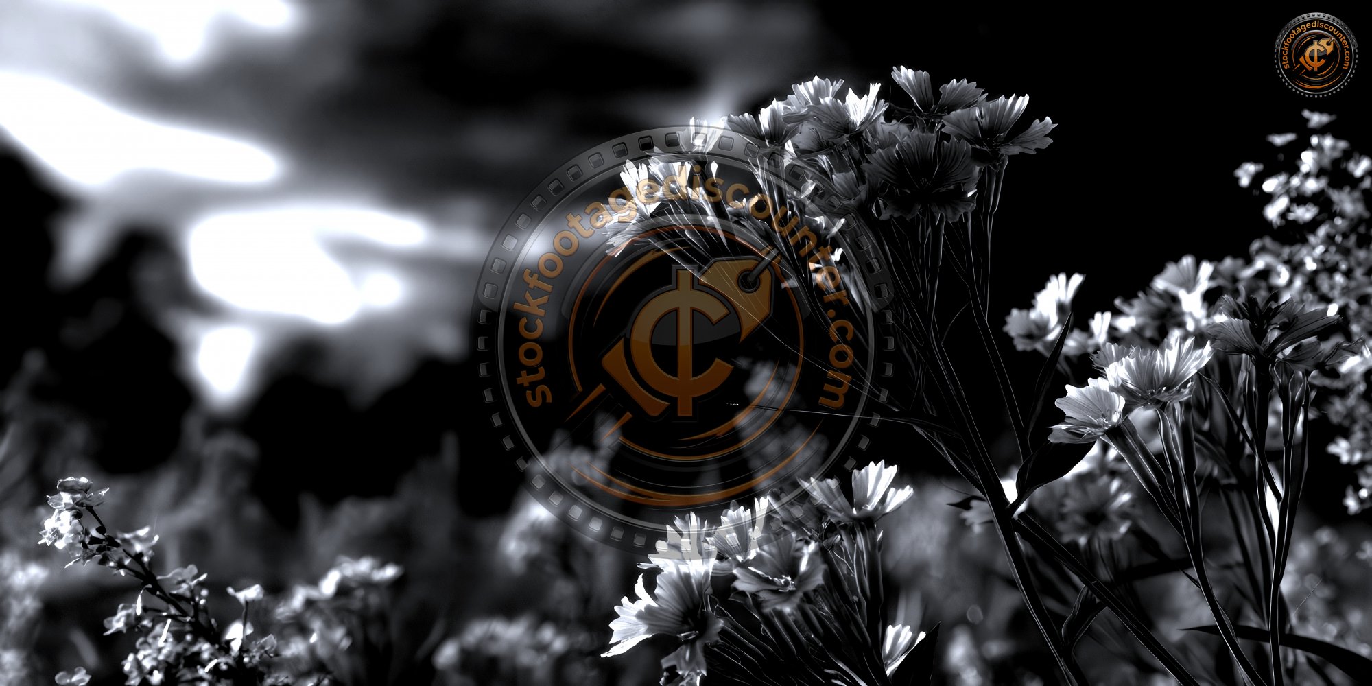 A Serene 3d Illustration Of A Meadow With Pastel Feb3e1d9 Eb73 48ef B33a A0c45b687208 1 Gigapixel Standard 6x Silver