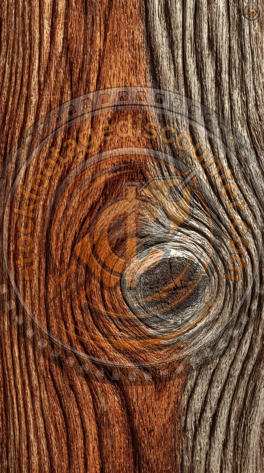 Close Up Shot Of Light Brown Wood Grain Texture. Wood D43dd3fc 68ec 4786 9548 7818f911a9ab 3 Gigapixel Standard 6x