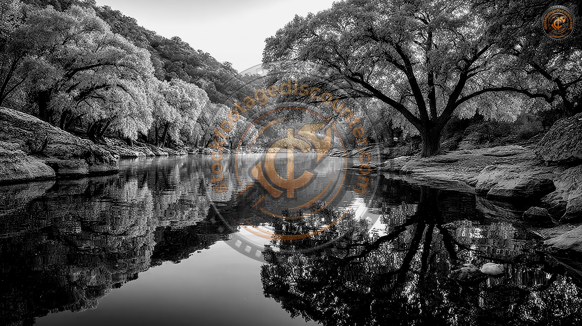 Orange Autumn Trees Over Lady Bird Lake In Austin F6463e9c Ab5a 40b2 Aa93 2a7fd6ff0fb3 1 Gigapixel Standard 6x Bw