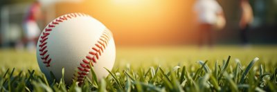 992731220 Gigapixel Standard 6x