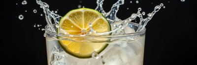 3619872329 Gigapixel Standard 6x