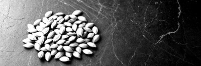 G o l d e n   s e e d s   s p r e a d   o u t   o n   a   d a r k   s t o n e   s u r f a c e ,   h i g h l i g h t i n g   t h e i r   t e x t u r e   a n d   r i c h   c o l o r