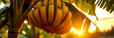 1072219652 Gigapixel Standard 6x Stylut