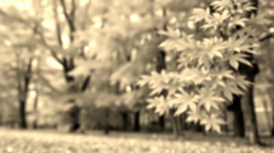 1081075257 Gigapixel Standard 6x Sepia