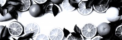 3509348102 Gigapixel Standard 6x Silver