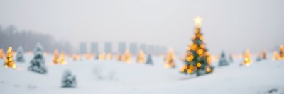 2884591895 Gigapixel Standard 6x