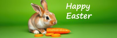 4032959463 Gigapixel Standard 6x