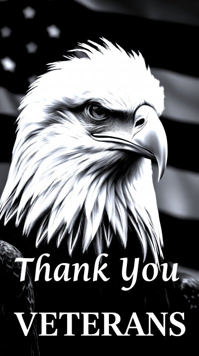 327218372 Gigapixel Standard 6x Silver