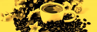 3899989854 Gigapixel Standard 6x Gold