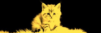 1133708391 Gigapixel Standard 6x Gold