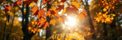 748175818 Gigapixel Standard 6x