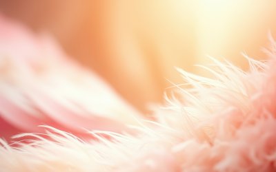 3742843480 Gigapixel Standard 6x