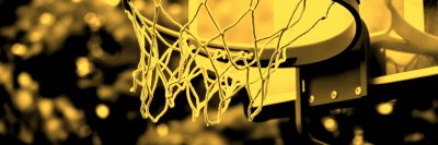 3809934865 Gigapixel Standard 6x Gold