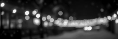 2456077800 Gigapixel Standard 6x Bw