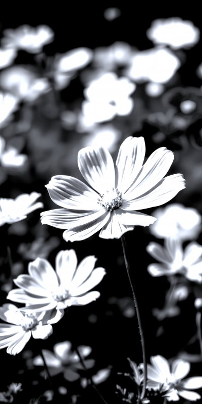 4042368860 Gigapixel Standard 6x Silver