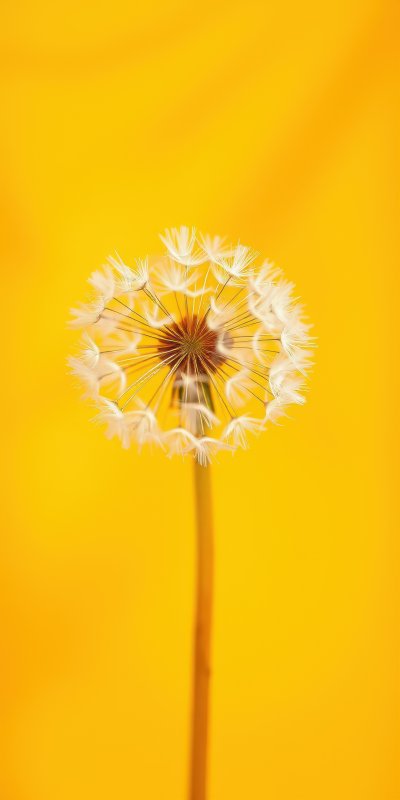 1411449501 Gigapixel Standard 6x