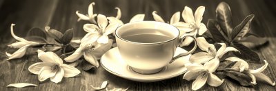 361970160 Gigapixel Standard 6x Sepia