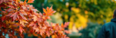 3380789726 Gigapixel Standard 6x