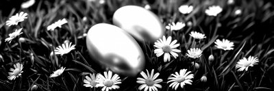 467665803 Gigapixel Standard 6x Bw