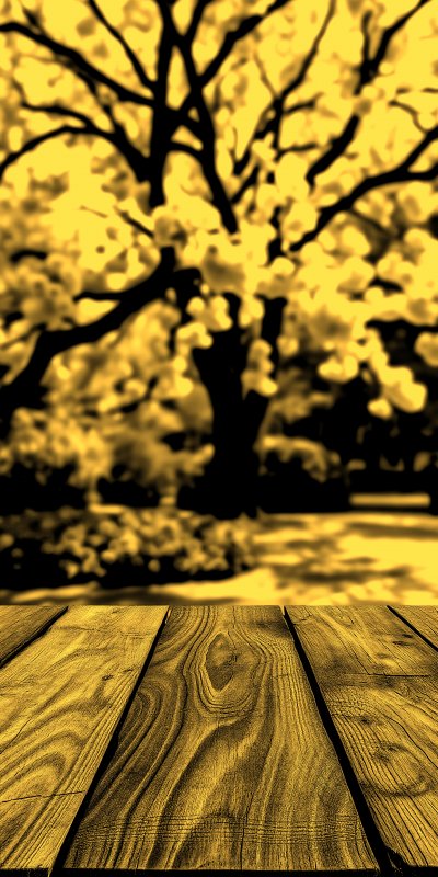 4244800068 Gigapixel Standard 6x Gold