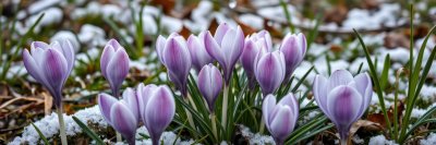 1668396185 Gigapixel Standard 6x