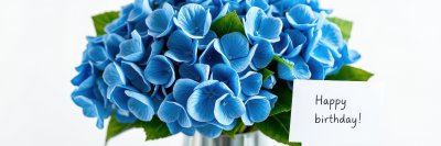 Bright blue hydrangea bouquet with birthday greeting for special celebration in a cheerful setting