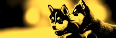 3391203189 Gigapixel Standard 6x Gold