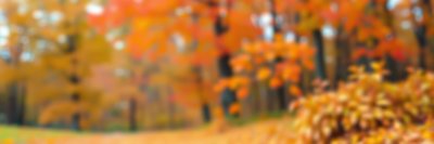 248648941 Gigapixel Standard 6x