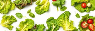 1438525867 Gigapixel Standard 6x