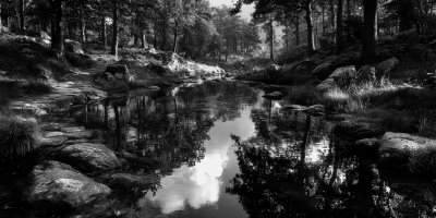 Px Photo Id 221554545. Nature Photography. Ult A2a0c2a8 5694 4e2c B583 C873346ee197 3 Gigapixel Standard 6x Bw