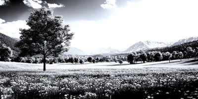 A Panoramic View Of A Meadow Landscape With Singl 9554b819 B7a6 458e 901f 8d64b2593e41 2 Gigapixel Standard 6x Silver