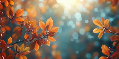 Autumn Natural Background With Orange Maple Leave 6dbcadc9 4dc7 4c9f B9f3 794d550f797a 1 Gigapixel Standard 6x