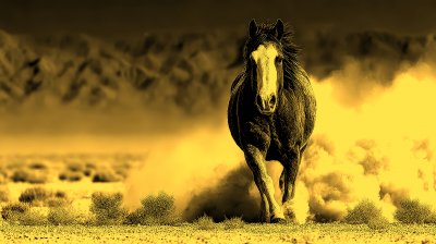 Bay Horse In Desert Dust. Wild Horse. Ultra Reali C470e4b1 B81c 4283 Ab81 708d20dcabaa 3 Gigapixel Standard 6x Gold
