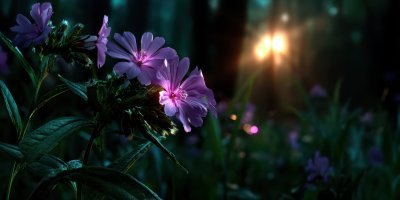 Beautiful Wildflowers On A Green Meadow. Warm Sum Ac6fe91b Ccde 4d95 8caa Fde9a649d5b4 0 Gigapixel Standard 6x