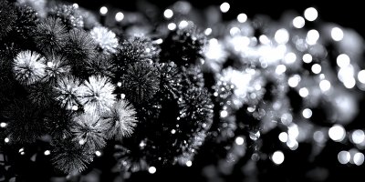 Colorful Red Yellow And Green Christmas Tree Boke 0b2dcb1c 7a4f 4623 8ca1 77e407d0ca85 3 Gigapixel Standard 6x Silver