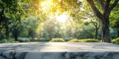 Empty White Marble Table Top With Blur Tree In Pa E1cbe356 3b4d 4693 B284 4d12db23a00f 0 Gigapixel Standard 6x