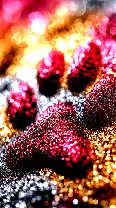 Abstract Animal Paw Print Shape Bokeh For Backgro B1c79597 A52f 4e50 Ab83 Cd375ac3a124 3 Gigapixel Standard 6x Hc