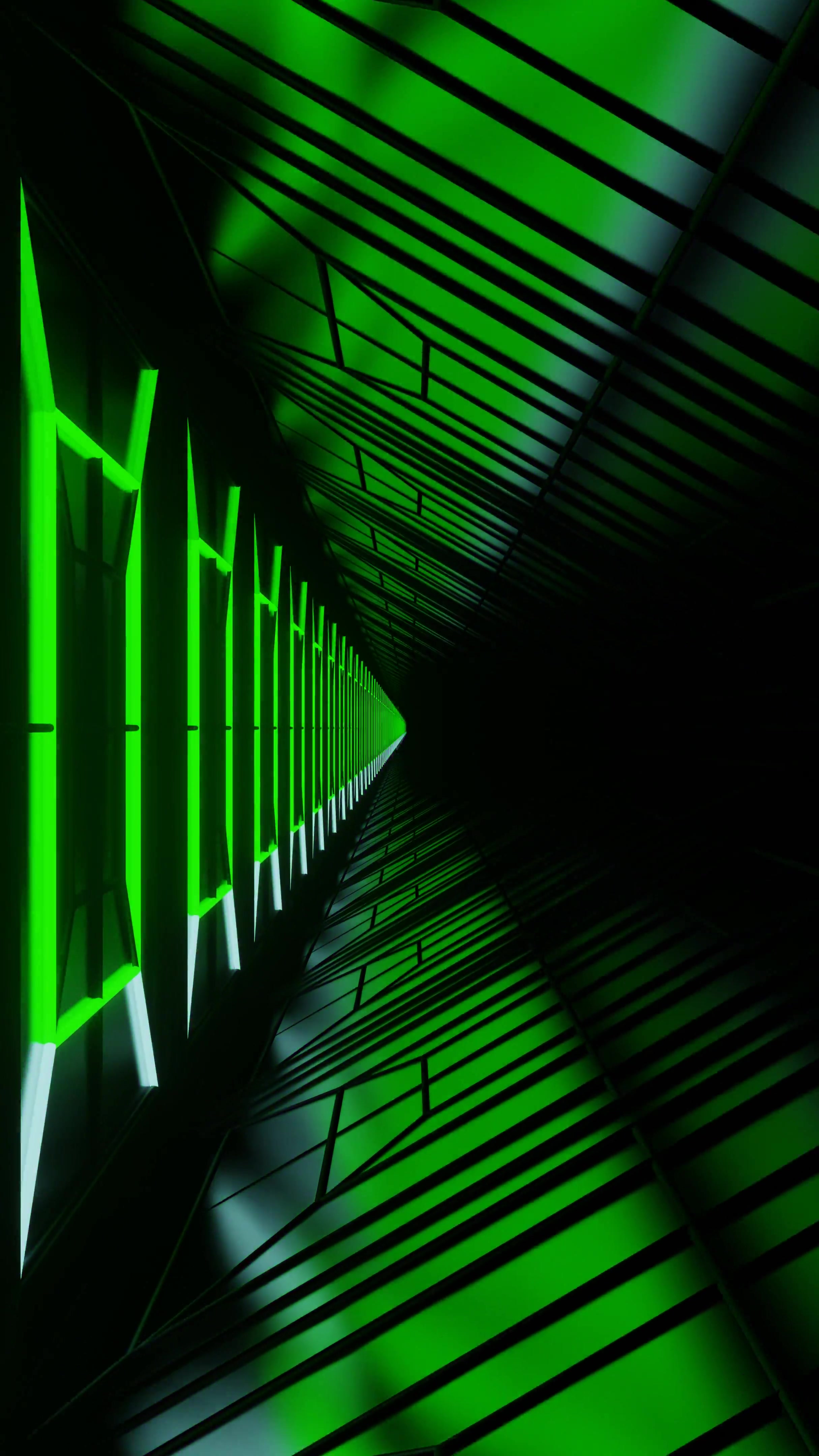 Tunnel video loop with vibrant lights and seamless motion creating an immersive visual experience