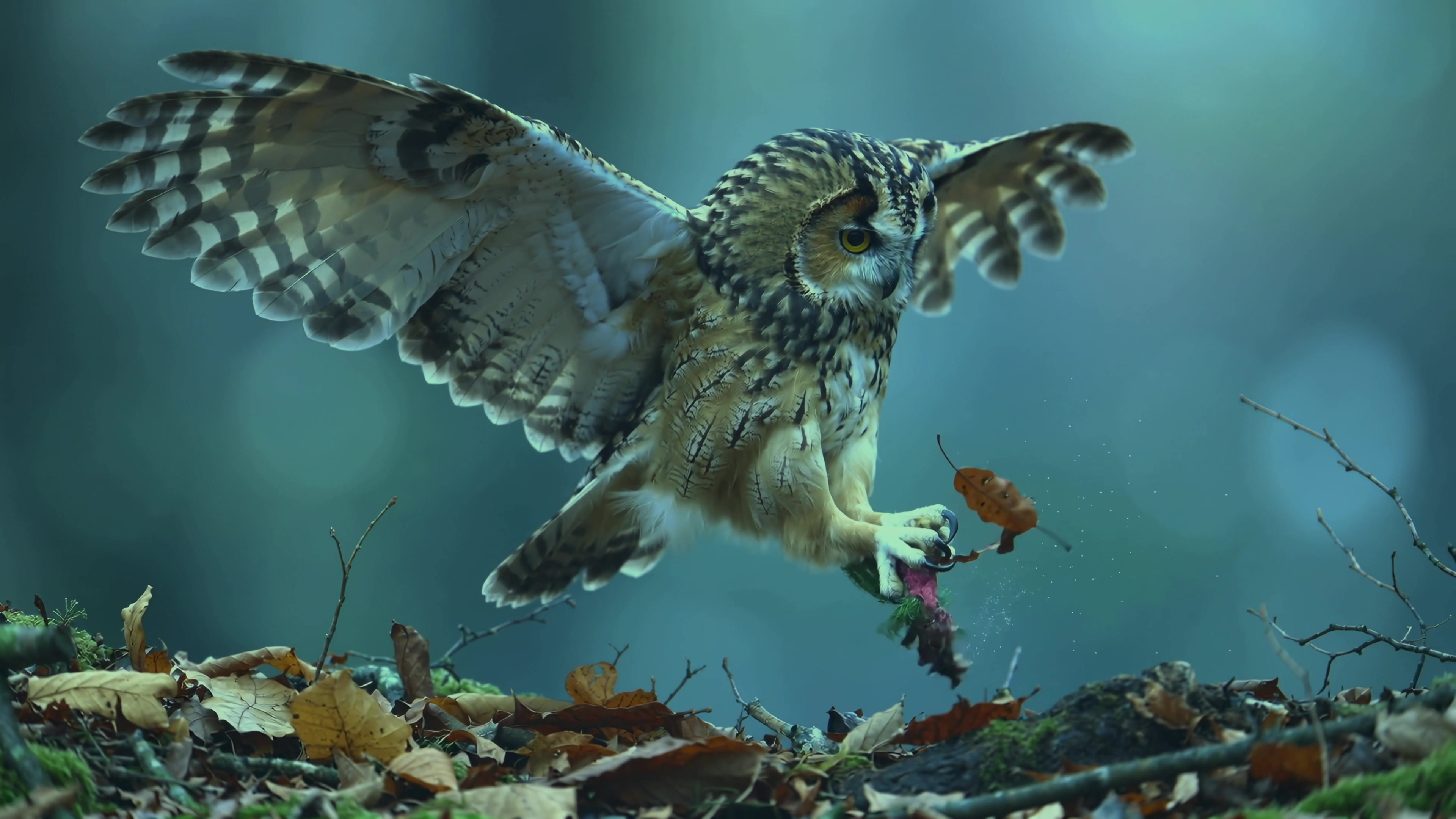 Owl catches prey in forest during early morning light while flying near ground