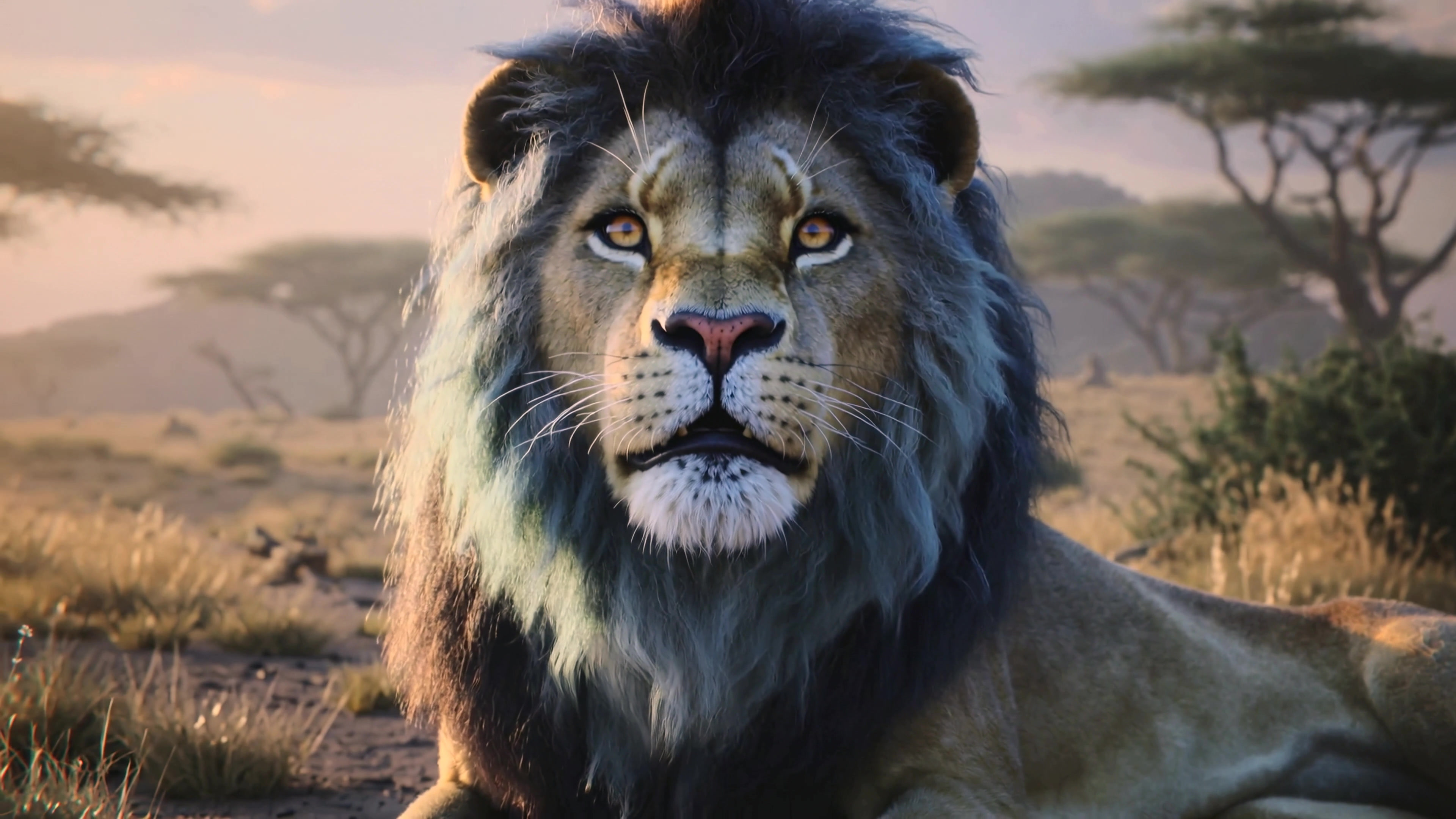 Lion resting on grass in the wild savanna during early morning light near acacia trees, with distant hills in the background
