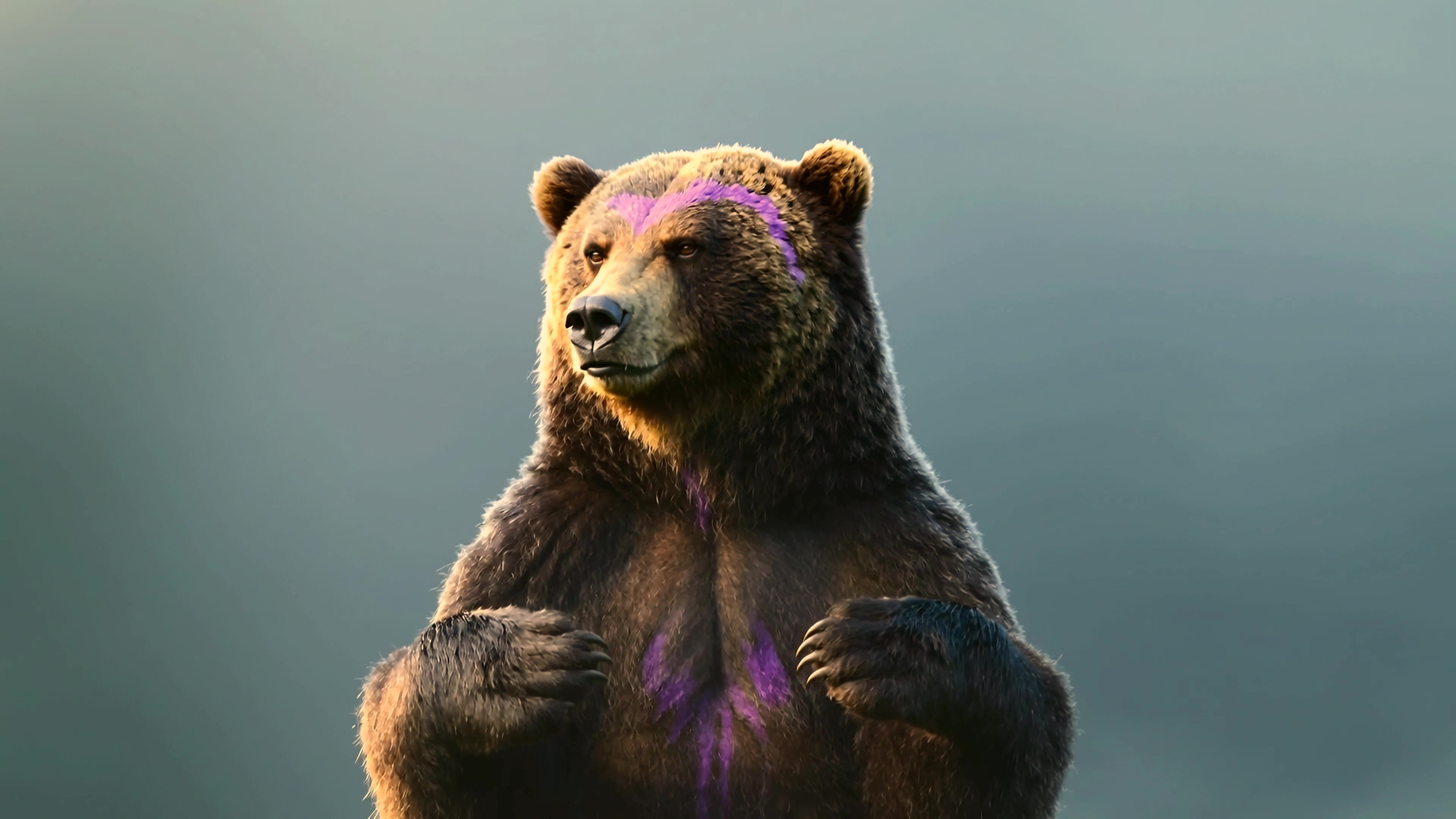 Brown bear stands in front of a blurred background with purple markings on its fur during a sunny day in nature