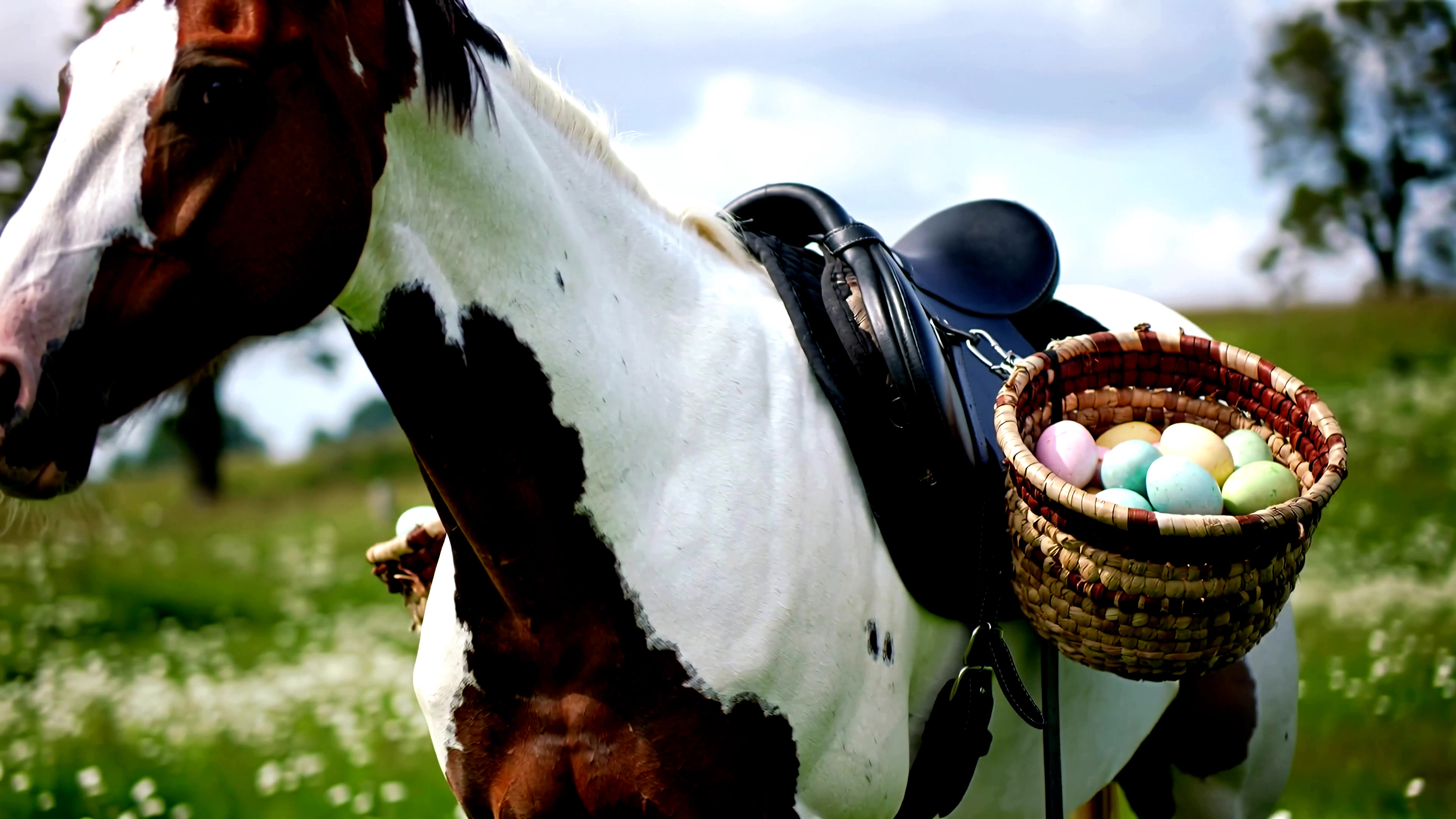 Horse carries basket of colorful eggs across grassy field during springtime activity