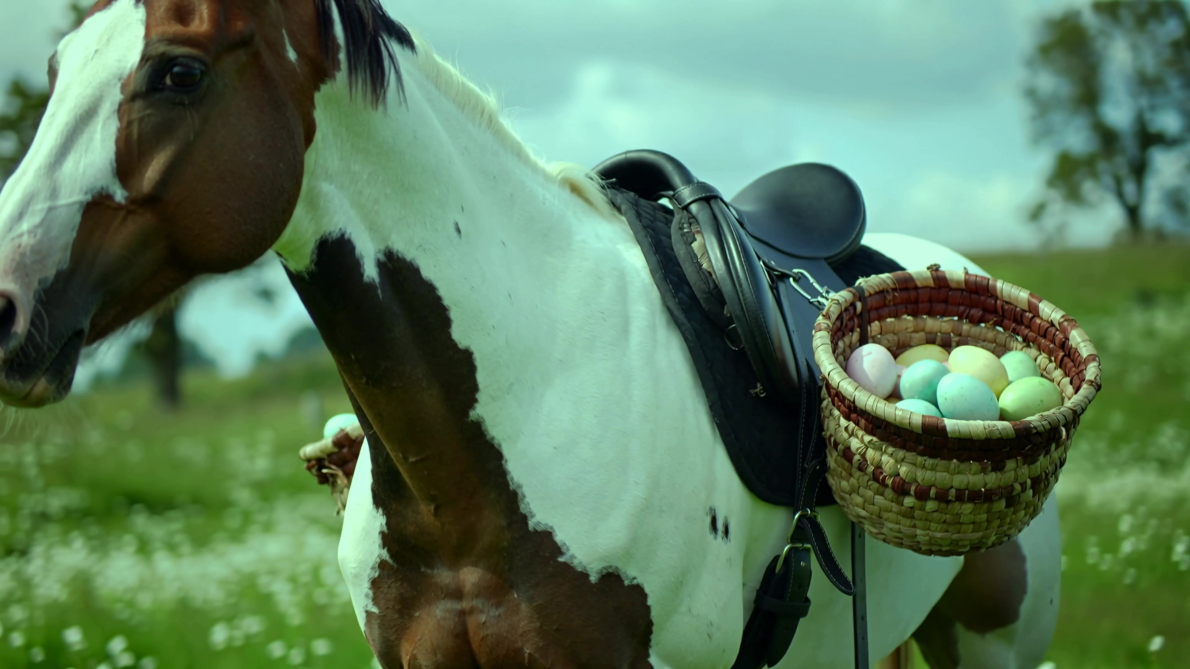Horse carries basket of colorful eggs in green field during springtime activity